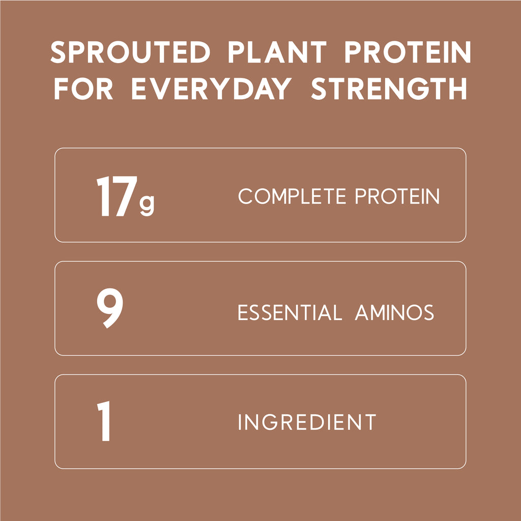 Raw Brown Rice Protein