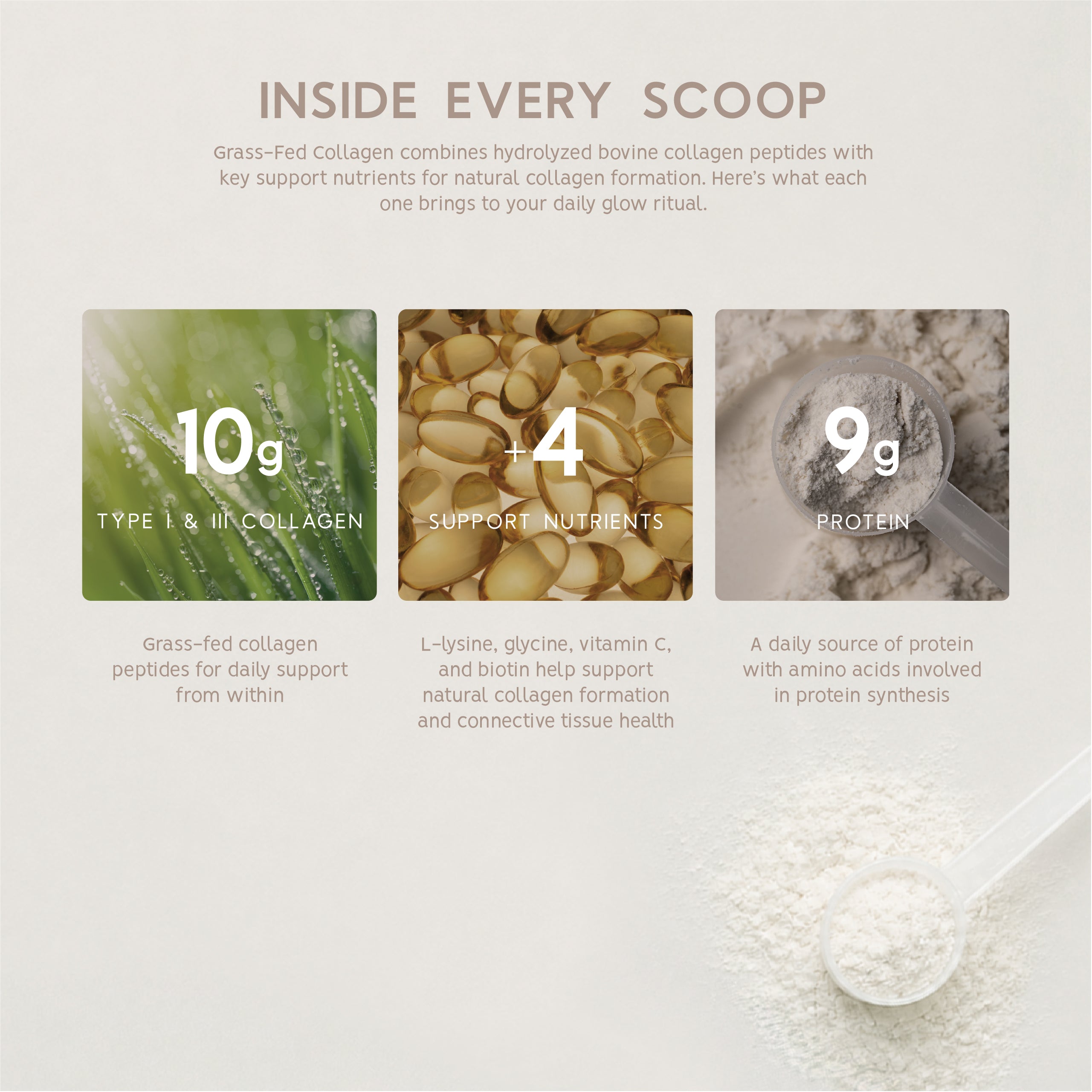 Grass-Fed Collagen