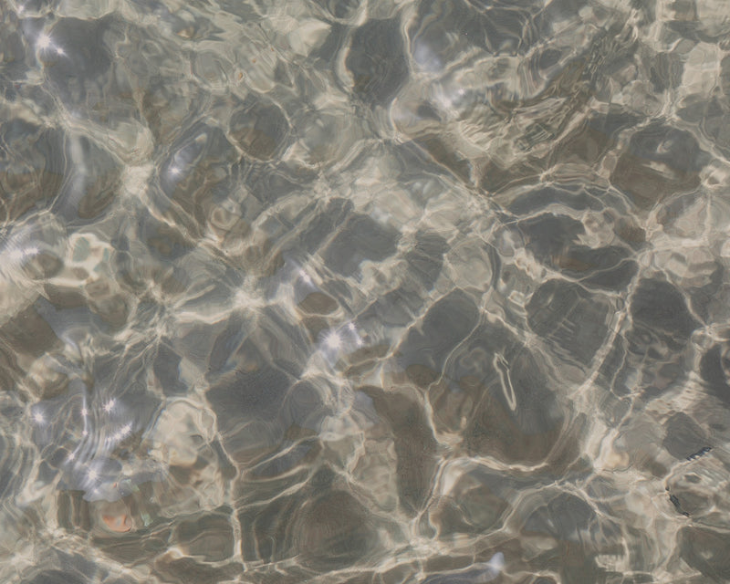 Type I Marine Collagen