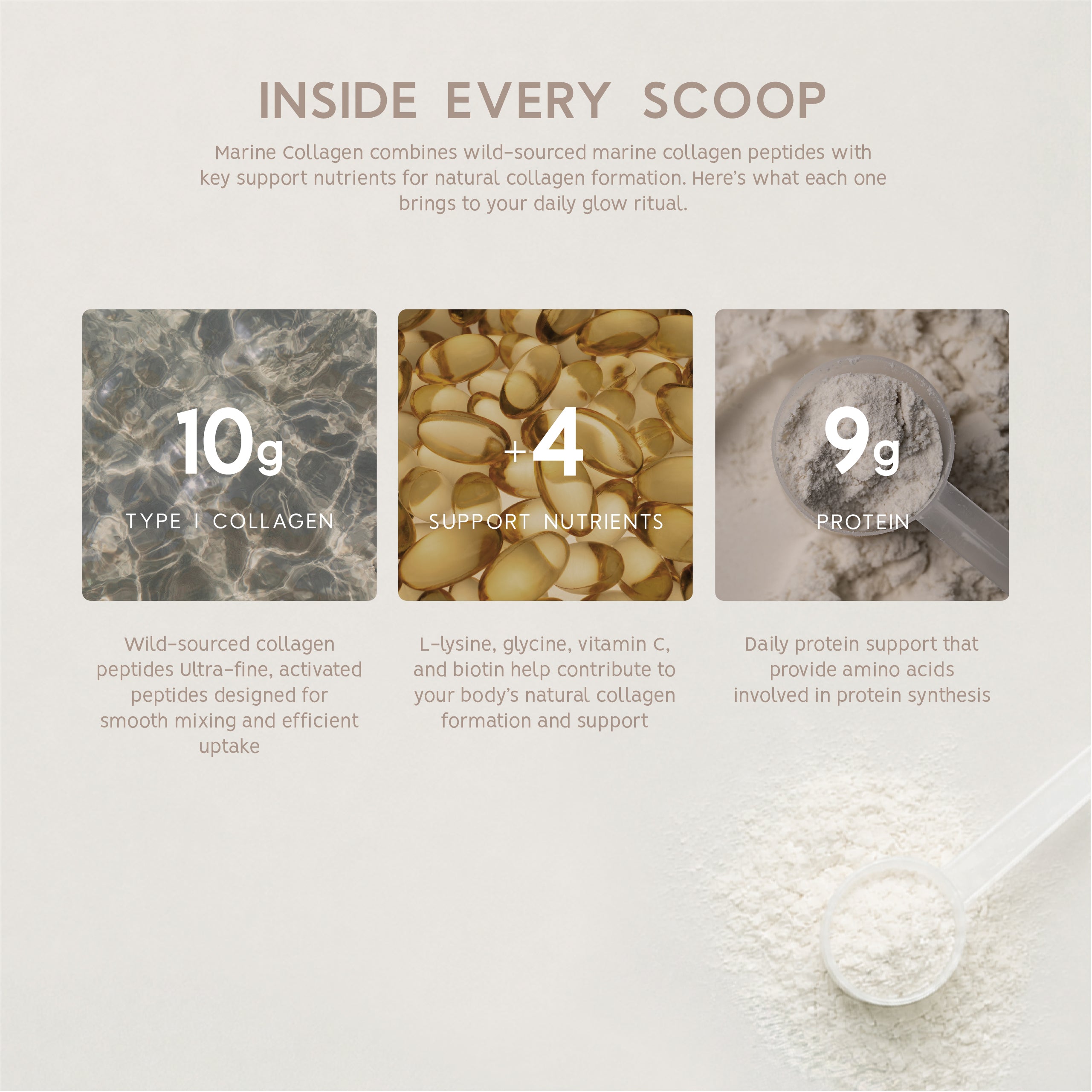 Marine Collagen