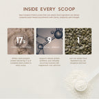 Raw Pumpkin Protein