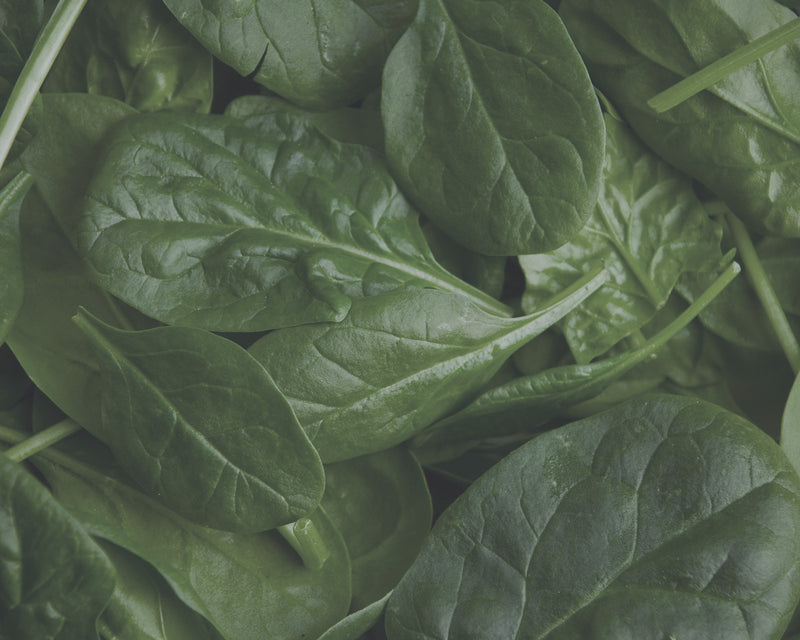 Superfoods & Greens